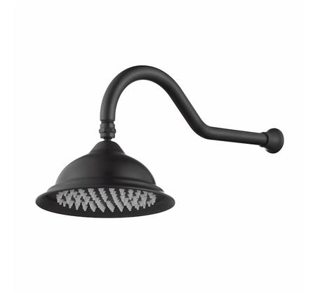 Modern National Bordeaux Shower Arm & Rose Black