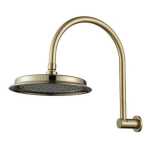 Modern National Montpellier Shower Arm and Rose Brushed Bronze