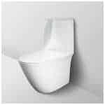 Fienza RAK Geberit Sensation Back to Wall Toilet Suite Push Button