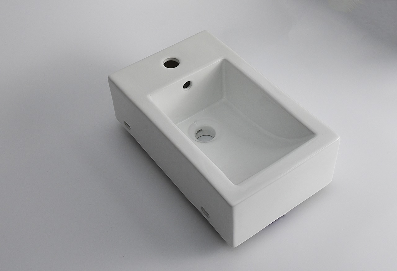 Ovia 460x280x170mm Counter Top Wall Hung Basin