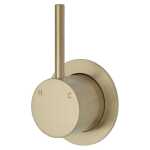 Fienza KAYA UP Wall Mixer Urban Brass Small Round Plate