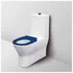 Fienza Disabled Delta Care Back-to-Wall Suite Blue Seat S Trap