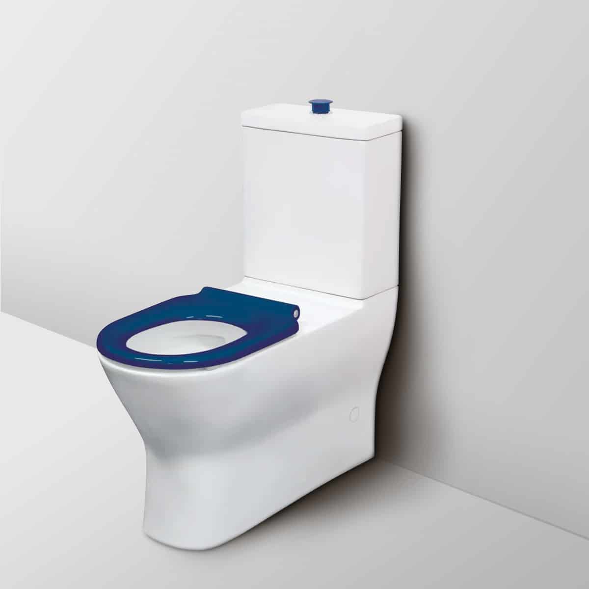 Fienza Disabled Delta Care Back-to-Wall Suite Blue Seat S Trap