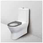 Fienza Disabled Delta Care Back-to-Wall Suite, Grey Seat S Trap