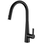 Otus Lux Pull Out Kitchen Mixer Matte Black