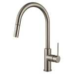 Modern National  Star Mini Pull Out Kitchen Mixer Warm  Brushed Nickel