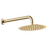 Fienza Kaya Wall Arm Shower Set, Urban Brass