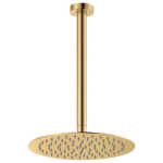 Fienza Kaya Ceiling Shower Dropper Set Urban Brass