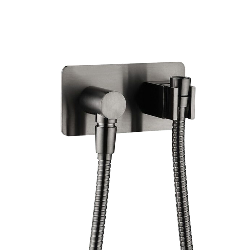 Fienza Universal Hand Shower Bracket & Hose, Gun Metal