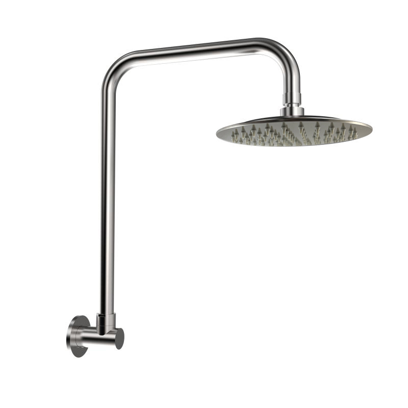 Elle Stainless Steel Gooseneck Shower