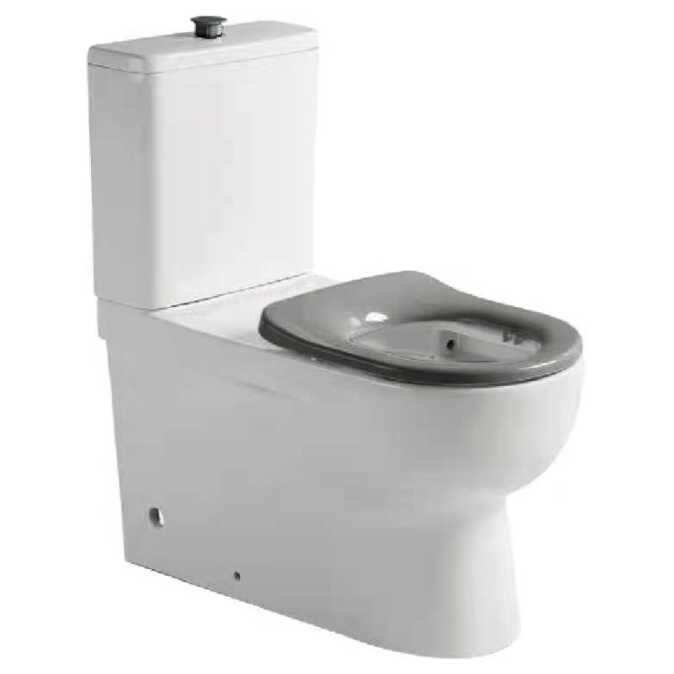 Ovia Care Disabled Back to Wall Rimless Toilet Grey Seat and Grey