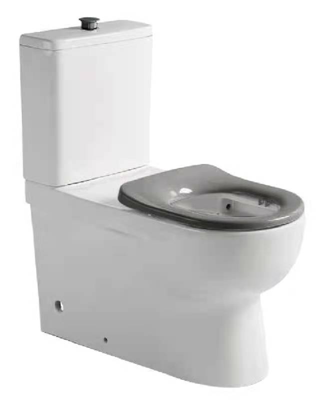 Ovia Care Disabled Toilet Seat Back to Wall Rimless Seat