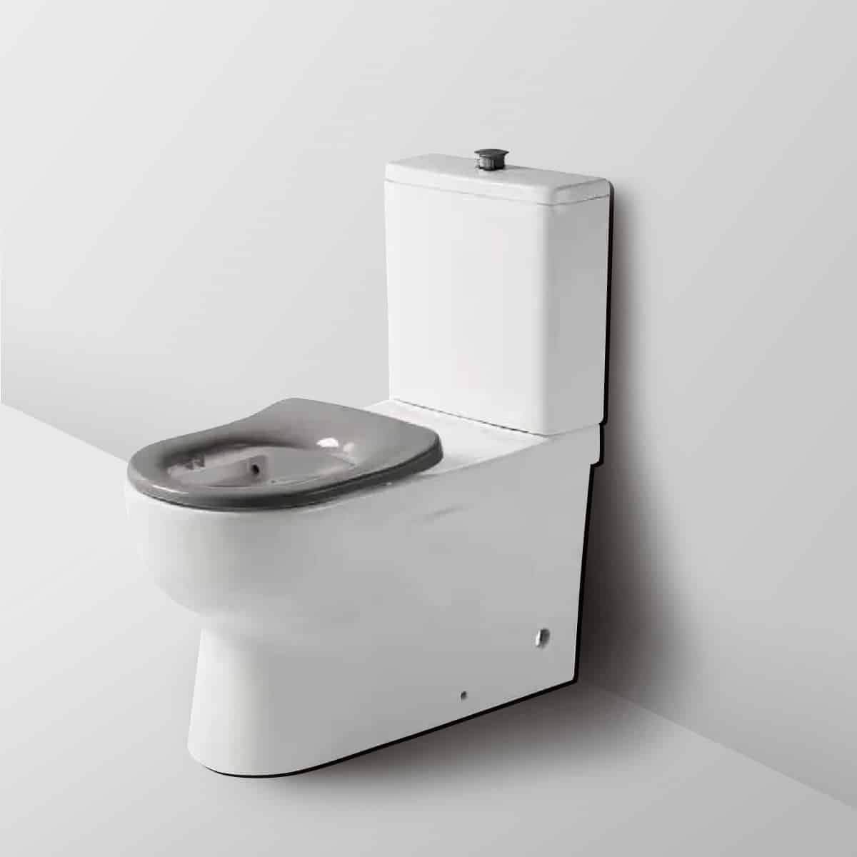 Ovia Care Disabled Back to Wall Rimless Toilet Grey Seat and Grey Buttons