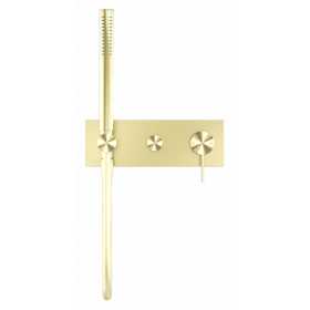 NR221903eBG-V1