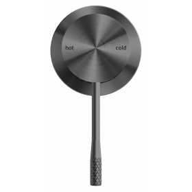 NR251909hGR-V1