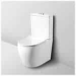 Fienza Hana Rimless Gloss White Back to Wall Toilet Suite
