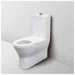 Fienza Disabled Delta Care Back-to-Wall Suite, White Seat S-Trap