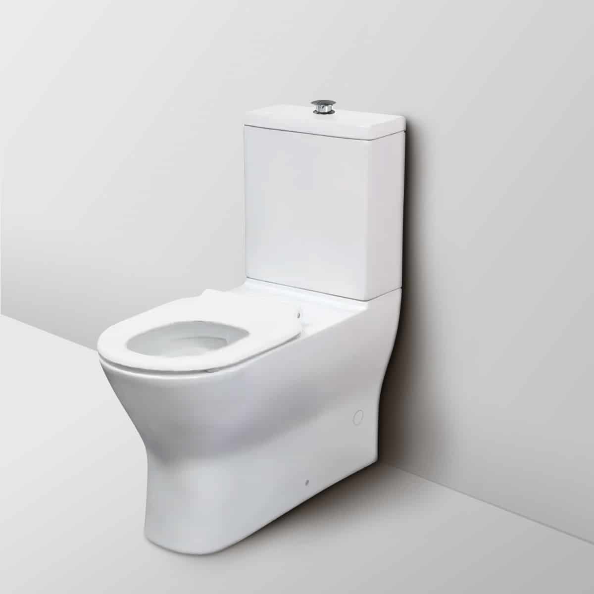 Fienza Disabled Delta Care Back-to-Wall Suite, White Seat S-Trap
