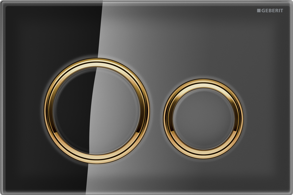Geberit Sigma 21 Flush Plate Button Black, Brass Trim