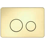 Nero In Wall Toilet Cistern Button R and T Brushed Gold