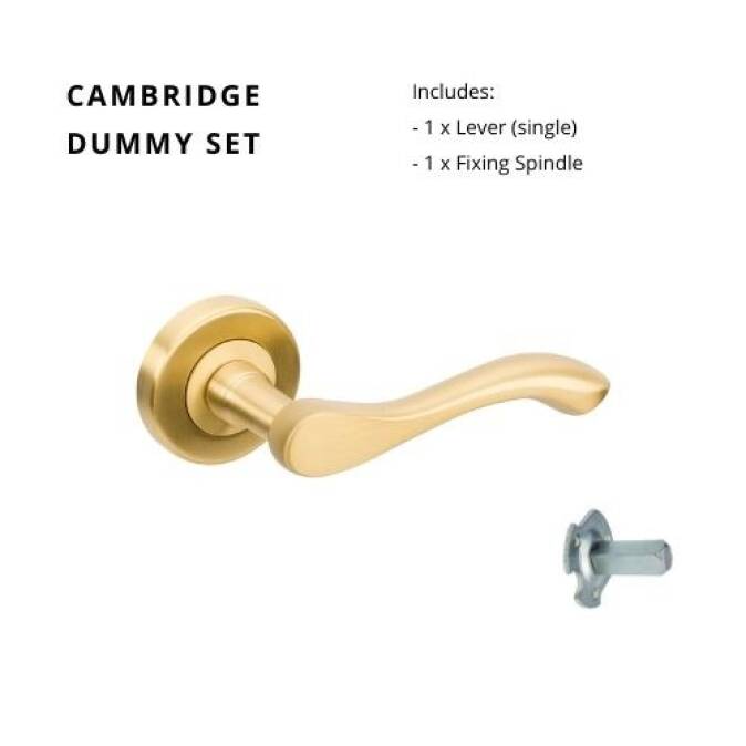 Cambridge-Dummy.SB_-1