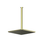 Greens Skyla Ceiling Shower Brushed Brass