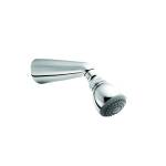Greens Applause Shower Rose on Arm Chrome