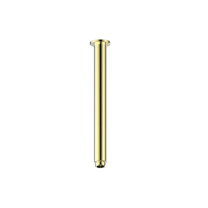 Ceiling-showe-arm-BB