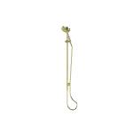 Greens Lavish Brass Rail Shower Brushed Brass
