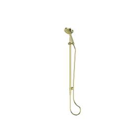 lavish-Brass-rail-shower-BB