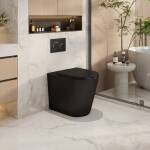 Berlin Quiet Flush Rimless Tornado Floor Pan Matte Black