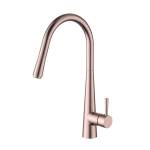 Modern National Kasper Pull Out Kitchen Mixer Dusk Champagne